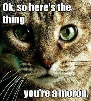 c7ce1a63f5ad40f87e998fa0f2f0e141