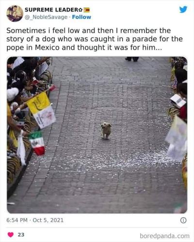 FB_IMG_1705773031200