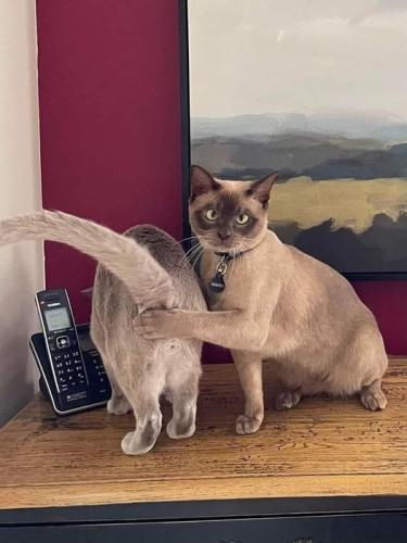 272303006_2996915333971283_2465053529840480738_n