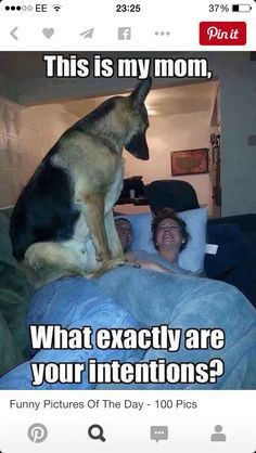 636637fe871fde6f4297eed1394123ea