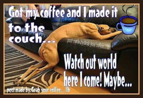 a022383b37a80a89063123720aff40e6