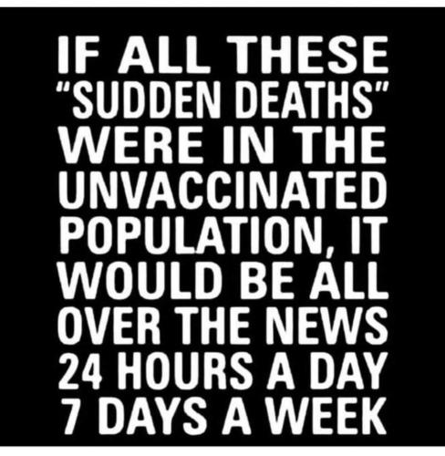 FB_IMG_1704569573600