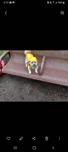 Screenshot_20240125-061255_Gallery