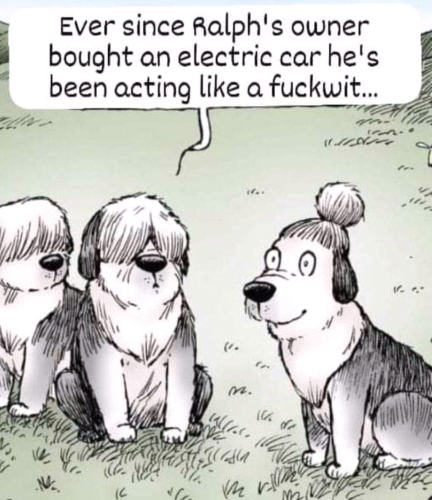 Screenshot_2023-12-31-21-42-18_kindlephoto-83072340