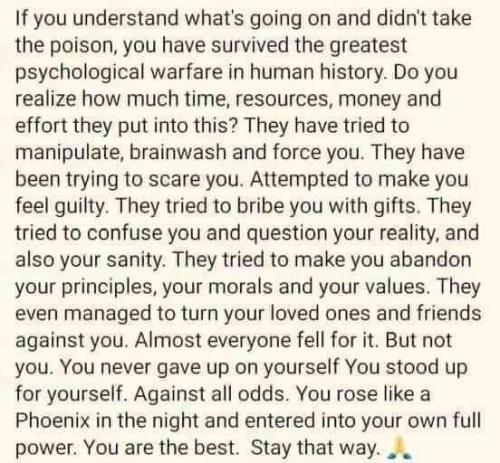 sngine_b7714e8e998b41d5f18ba607c555641c