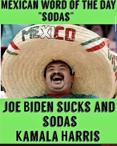 be07e80fc8b850fbf992cfcad15b75229e97d186bbcfe41b833d8f9680c21566_1