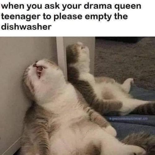 ask-drama-queen-teenager-please-empty-dishwasher-mysock-mankeyslotion-2019