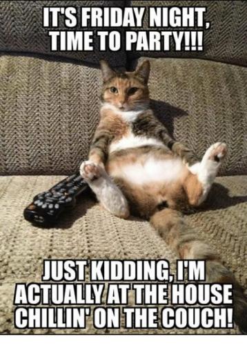 d1f2d090b6351342abc364362c876577