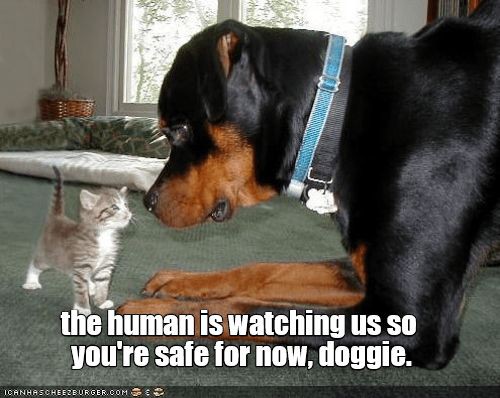 ed17e658fc8e0bff9024a0eed156c50a