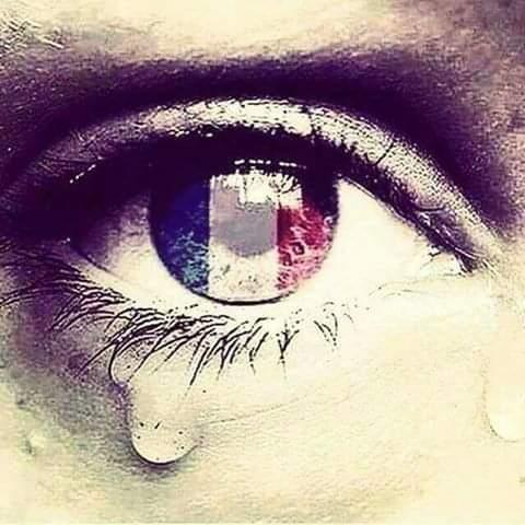 b49e1e5c-b7ad-4f10-8adf-b5faddcccf4d