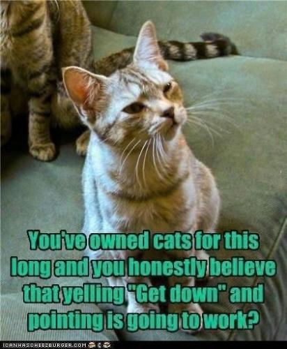 8ffd717e9c744bde80fa5b1d5c9dde8e