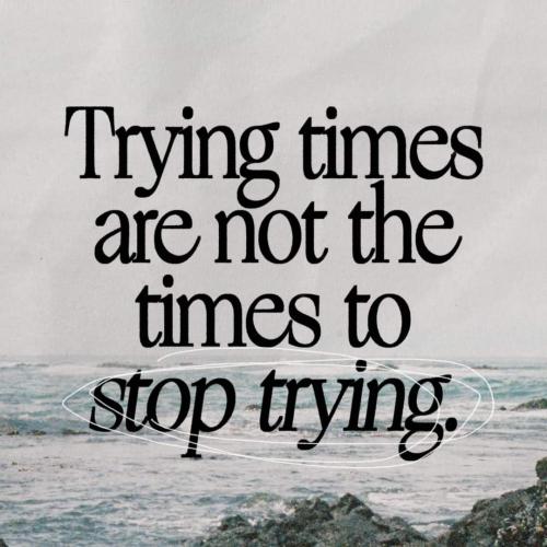 FB_IMG_1706150038649