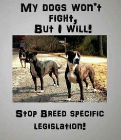 4ad7e6c385420a7dd535d65f553fb55e