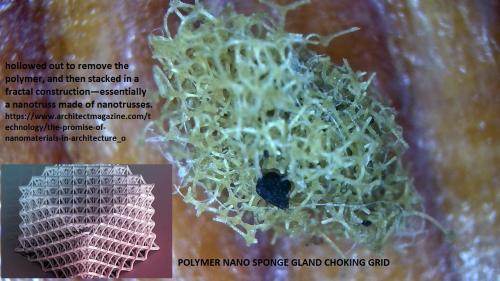 Yellow Sponge Fullerene Mass GLAND GRID