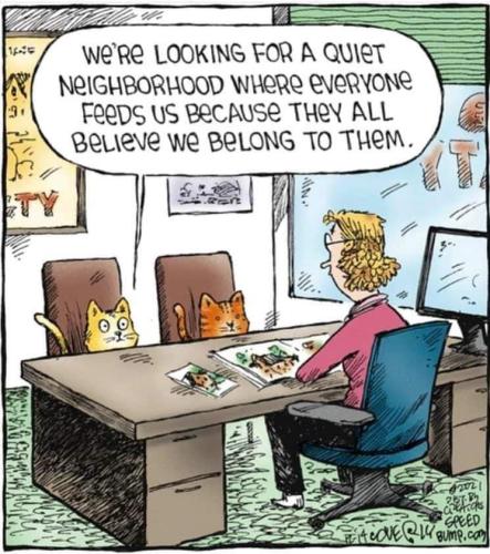 FB_IMG_1704378401950