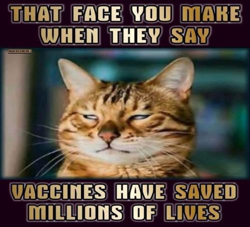 416713943_341049338699355_8388404823752753983_n