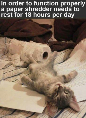 5339ae6d66ba4c6362d14d794915dcbc