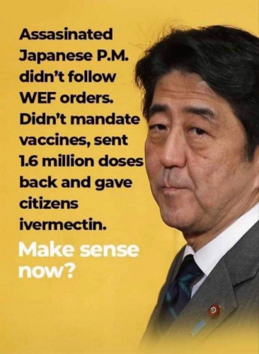Japanese PM ivermectin
