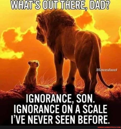 2a031634b299454dd9837ccae7932360339a636c5f152b187c93cacd5a3a6549_1