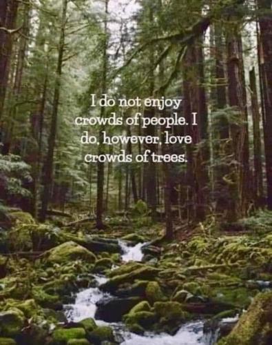 FB_IMG_1704128327287