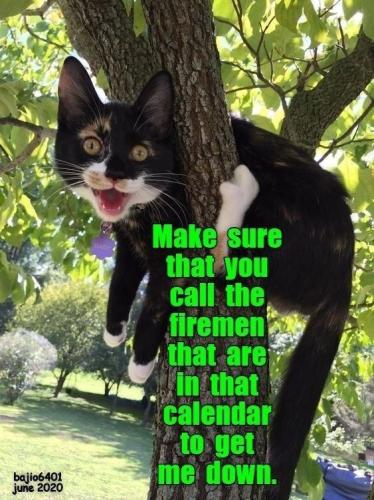 a42479029b283242ccda2ee30cebd25d