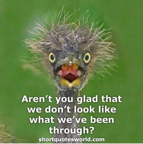 FB_IMG_1705774108488