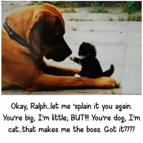 03cfe943a1030e7995ff95206a4581f8