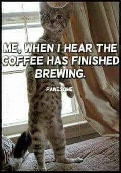 416114130_7922490901100668_2836332354519536327_n