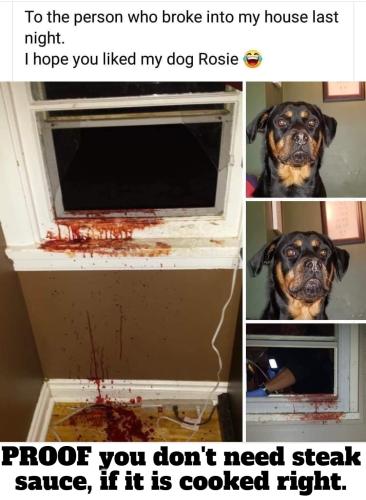 PROOF you don't need steak sauce, if it is cooked right. MASTER COPY