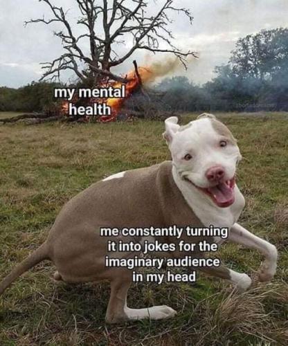 FB_IMG_1706416761812