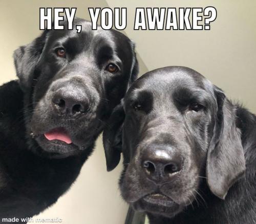 3cd206120e97dc91c3f756f3508129f4