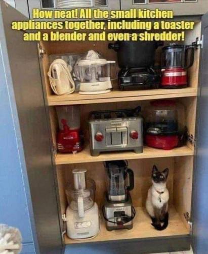 33b881bb8326563a72fb8a1f7e26841f