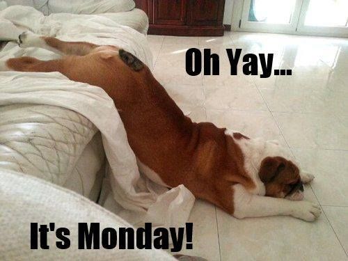 ecf3191a44318173576cd884a3d8e12c