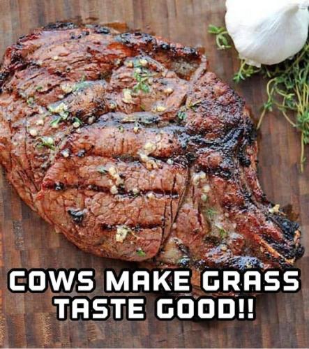 420062975_765356725623942_3218886801043838180_n