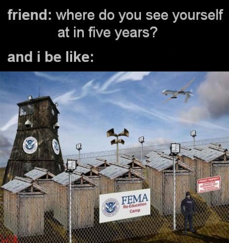 where do you see yourself in five years05