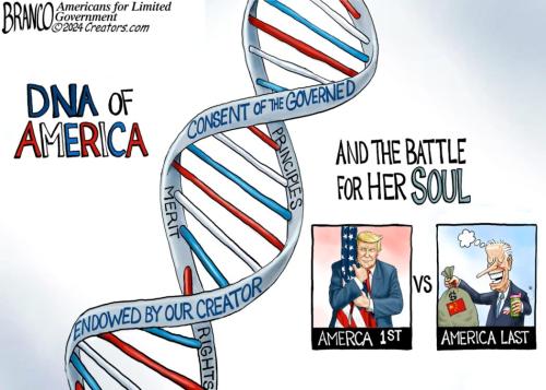 03-dna-usa-dt-1080a-1050x750
