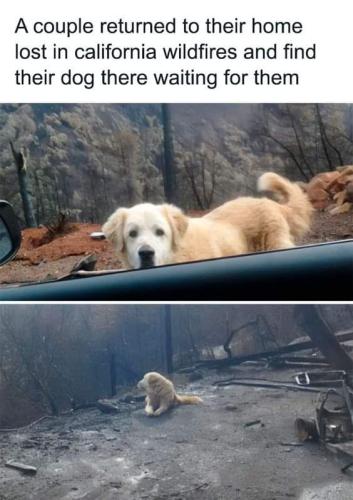 FB_IMG_1705326050848