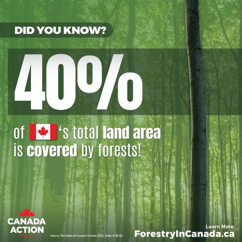 canada-forest-land-area