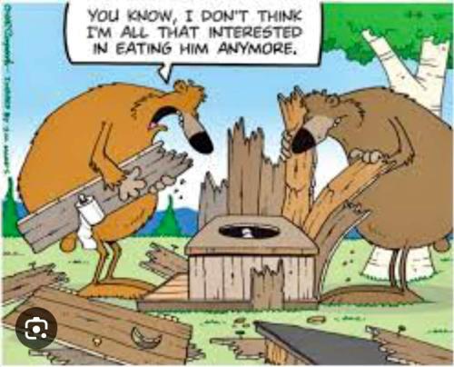 FB_IMG_1704074660071