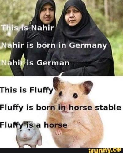 this is fluffy