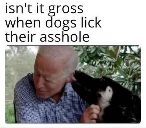 xephula_937d1aa39c0fee76b4d133529d087017