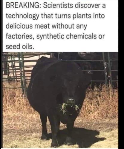 scientists discouver