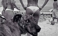 01334C28-03A3-445E-9D8D-64EB4DB78699