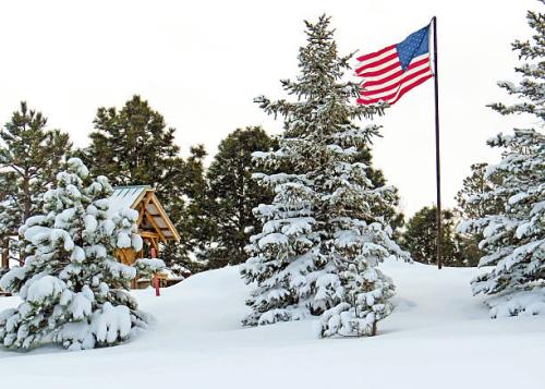 flag-and-snowy-pines