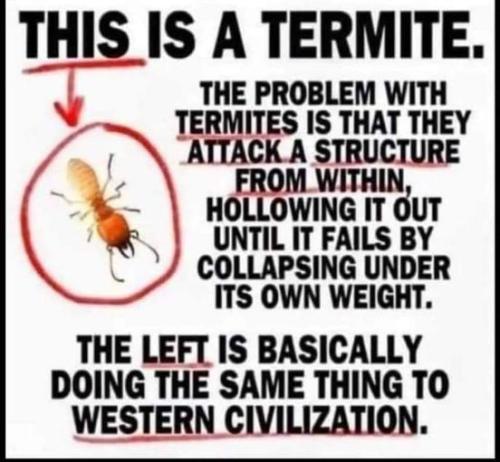 termite f