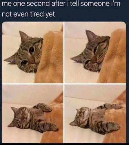 one-second-after-tell-someone-not-even-tired-yet