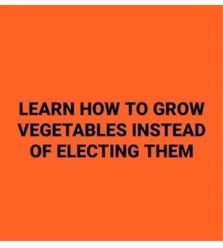 FB_IMG_1704911068051