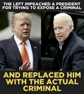 criminal activity154