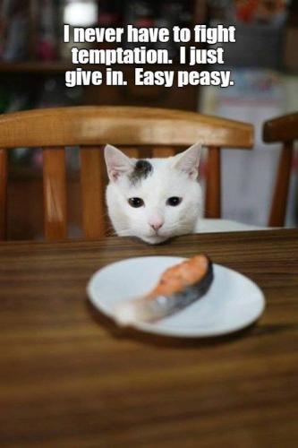 44a5af41994e4a9eba8a812d745c3ce7