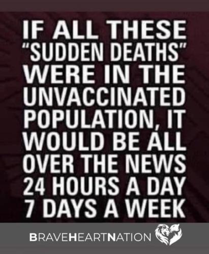 414468860_350798187693091_1934185944583469539_n